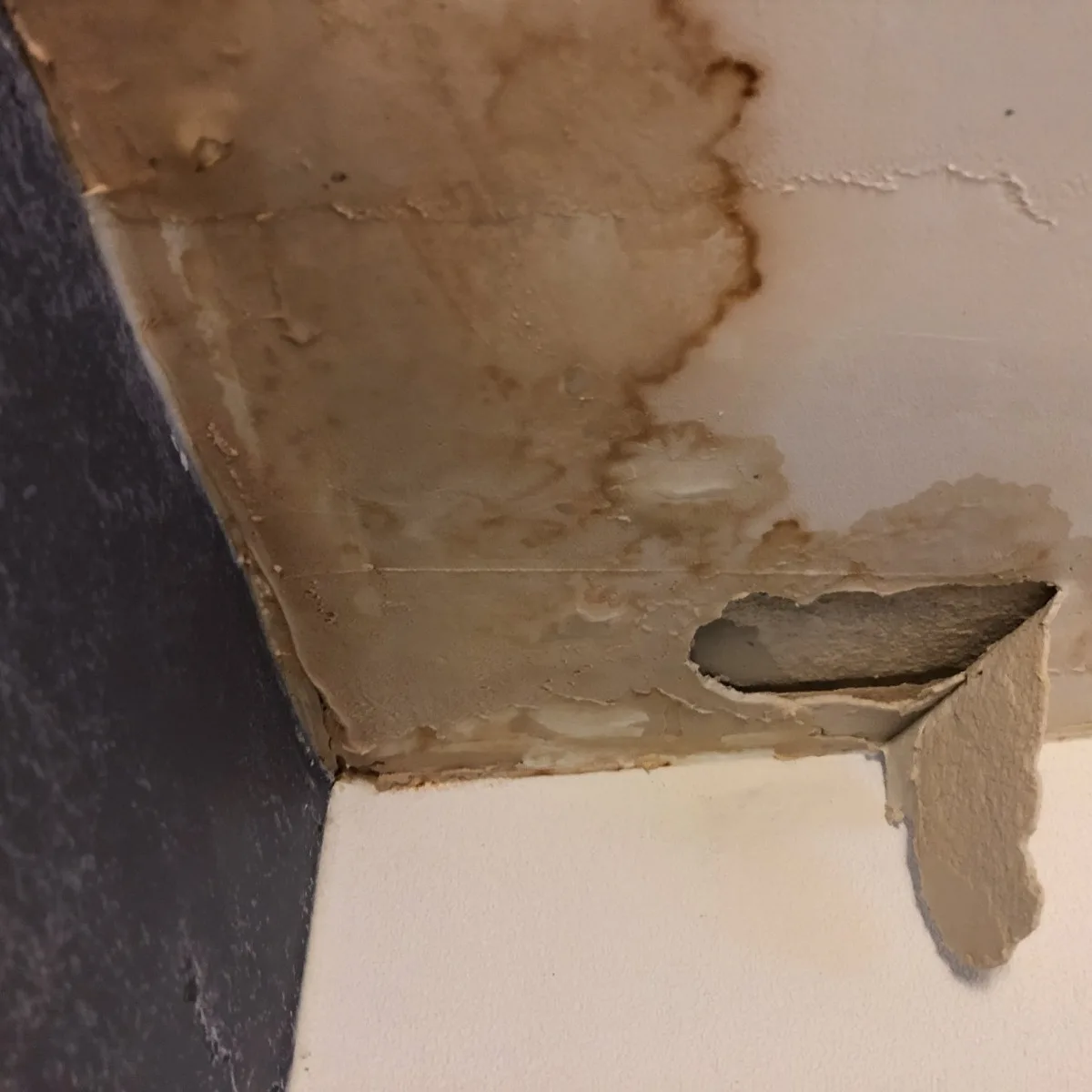 Ceiling with a large water stain and peeling drywall near a wall corner